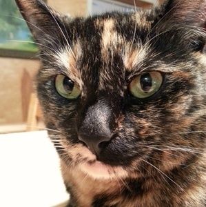 Meet your Posher, Maegan